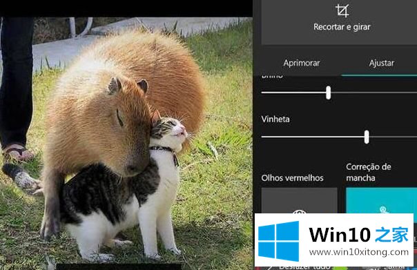 win10的解决教程