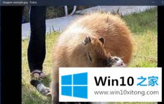 老鸟传授win10的解决次序