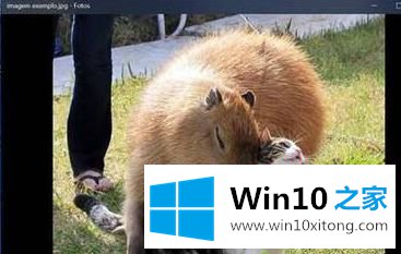 win10的具体解决举措