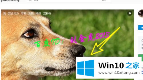 win10桌面自定义壁纸的修复要领